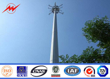 China Schokbestendige 40 Voeten Elektro Monopool-Toren, Mobiele Telefoonmasten leverancier