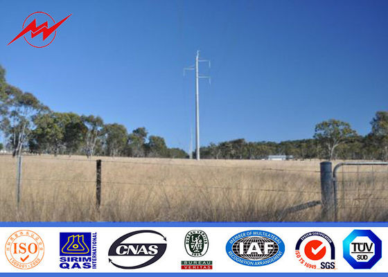 95FT NGCP Filippijnen het Staalmacht Polen AWS D 1,1 van de Hete Onderdompelingsgalvanisatie