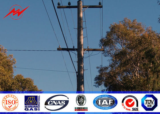 11.9m 16kn laden het Lassenoppervlakte Gegalvaniseerde Behandeling van Elektromachtspool 100%