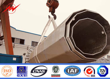Gr65 laste het Rooster 20m Electric Power Pool